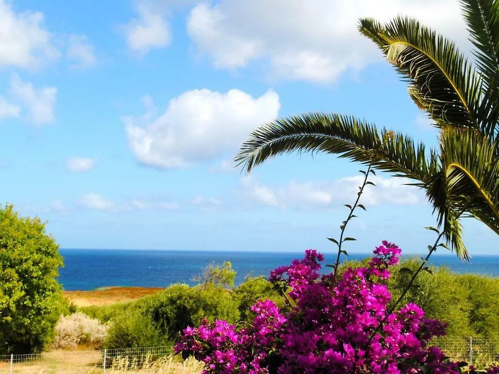 Palm Apartment Valledoria  Ιταλία